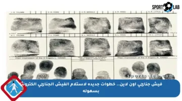 فيش جنائي أون لاين.. خطوات جديدة لاستلام الفيش الجنائي إلكترونيًا بسهولة